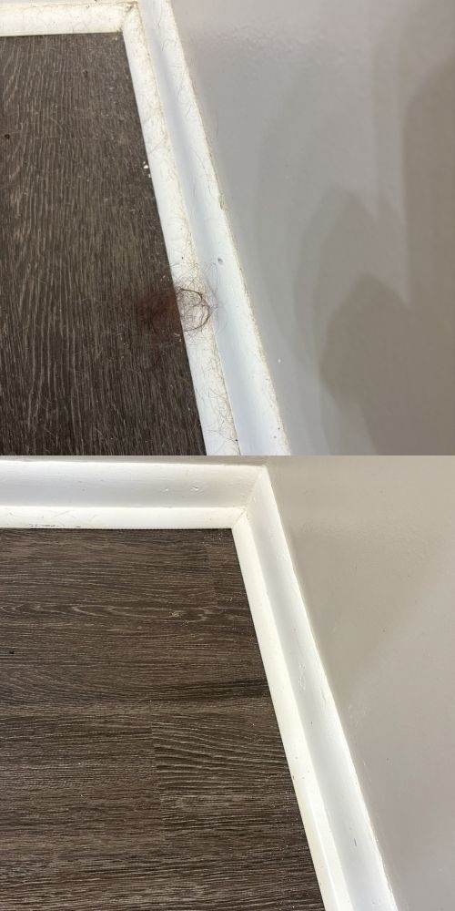 Regular Cleaning